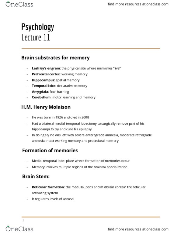 01:830:101 Lecture Notes - Lecture 11: Autonomic Nervous System, Pupillary Response, Somatic Nervous System thumbnail