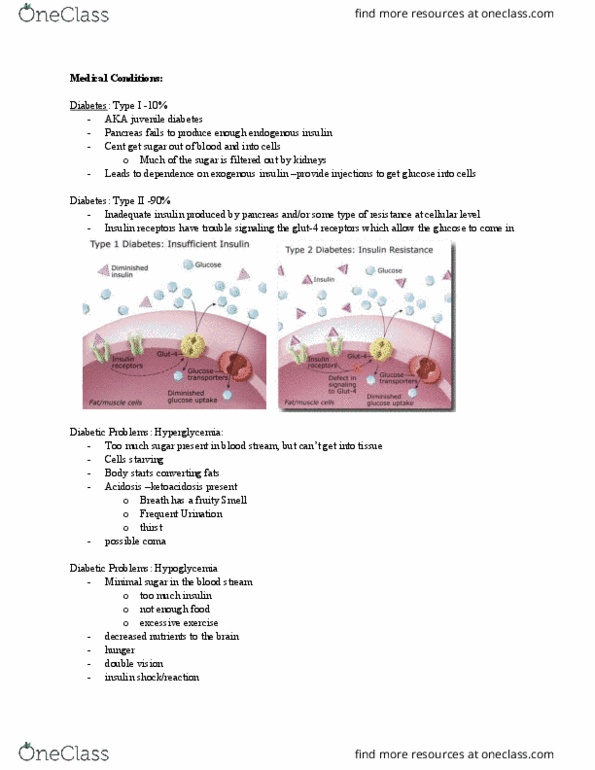 Kinesiology 2236A/B Lecture Notes - Lecture 11: Hyperglycemia, Clonus, Diplopia thumbnail