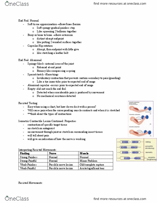 Kinesiology 2236A/B Lecture Notes - Lecture 27: Spinal Nerve, Differential Diagnosis, Mechanical Advantage thumbnail