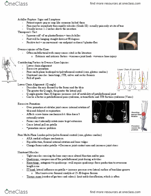 Kinesiology 2236A/B Lecture Notes - Lecture 44: 2Degrees, Inside Out Music, Gluteus Medius Muscle thumbnail