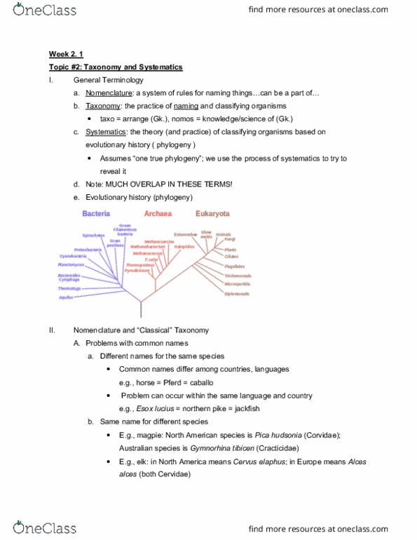 BIOL108 Lecture Notes - Lecture 3: Northern Waterthrush, Linnaean Taxonomy, Binomial Nomenclature thumbnail