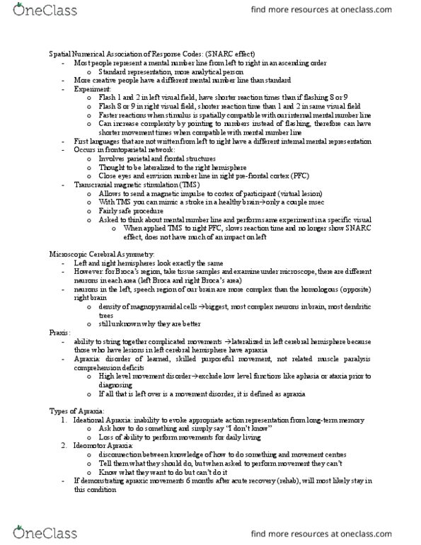 Kinesiology 1080A/B Lecture Notes - Lecture 7: Developmental Coordination Disorder, Parietal Lobe, Transcranial Magnetic Stimulation thumbnail