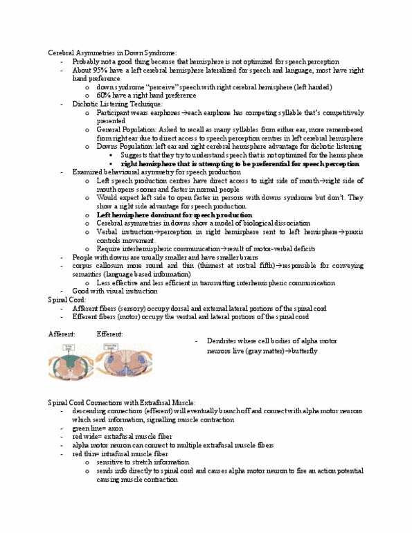 Kinesiology 1080A/B Lecture Notes - Lecture 8: Brainstem, Gamma Motor Neuron, Extrafusal Muscle Fiber thumbnail