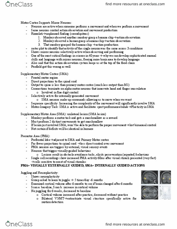 Kinesiology 1080A/B Lecture Notes - Lecture 6: Parietal Lobe, Carl Wernicke, Aphasia thumbnail