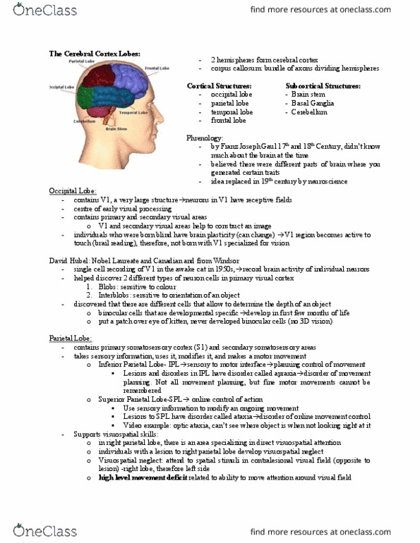 Kinesiology 1080A/B Lecture Notes - Lecture 4: Partial Seizure, Motor Learning, Visual Impairment thumbnail