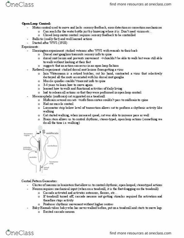 Kinesiology 1080A/B Lecture Notes - Lecture 29: Motor Program, Agonist, Anti-Gravity thumbnail