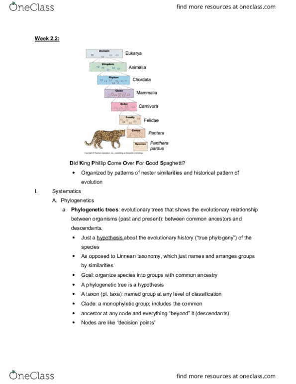 BIOL108 Lecture Notes - Lecture 4: Ingroups And Outgroups, Linnaean Taxonomy, Phylogenetics cover image
