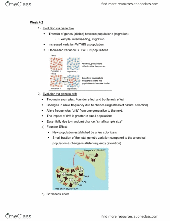 BIOL108 Lecture Notes - Lecture 10: Hemoglobin, Comparative Embryology, Plasmodium cover image