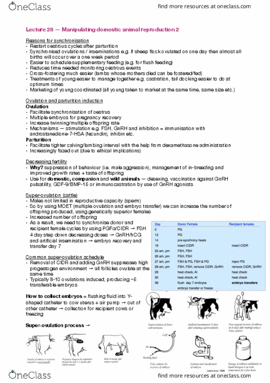BIOL30001 Lecture Notes - Lecture 28: Controlled Ovarian Hyperstimulation, Estrous Cycle, List Of Domesticated Animals thumbnail