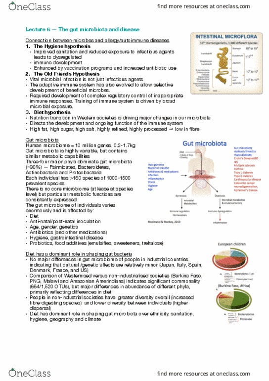 BIOM30001 Lecture Notes - Lecture 6: Gut Flora, Adaptive Immune System, Human Microbiota thumbnail