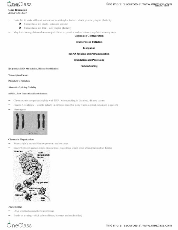 LIFESCI 3B03 Lecture Notes - Histone H2B, Phosphorylation, Methylation thumbnail