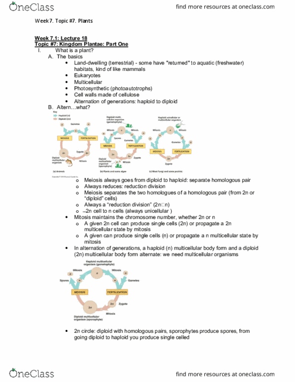 BIOL108 Lecture Notes - Lecture 18: Body Plan, Plant, Mitosis cover image