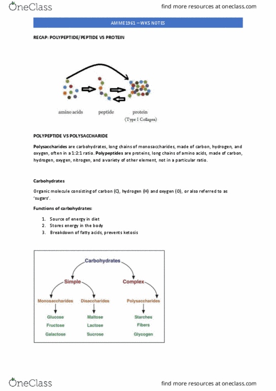AMME1362 Lecture Notes - Lecture 8: Ketosis, Polysaccharide, Monosaccharide thumbnail