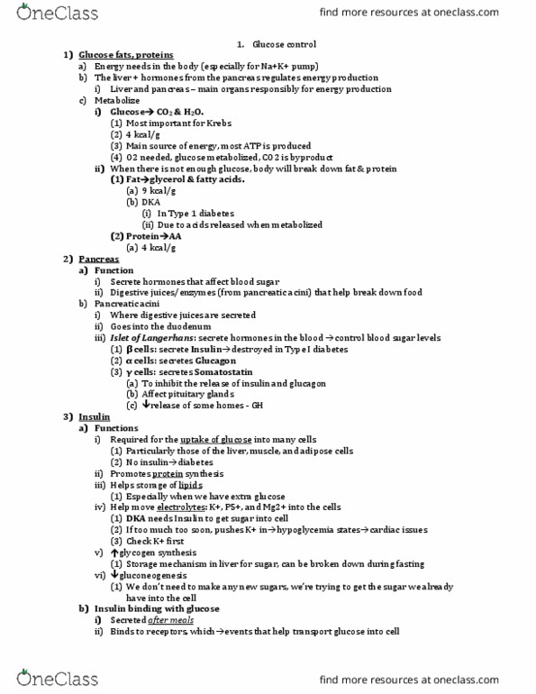 NURSE-UN 1435 Lecture Notes - Lecture 9: Diabetes Mellitus Type 1, Acinus, Blood Sugar thumbnail