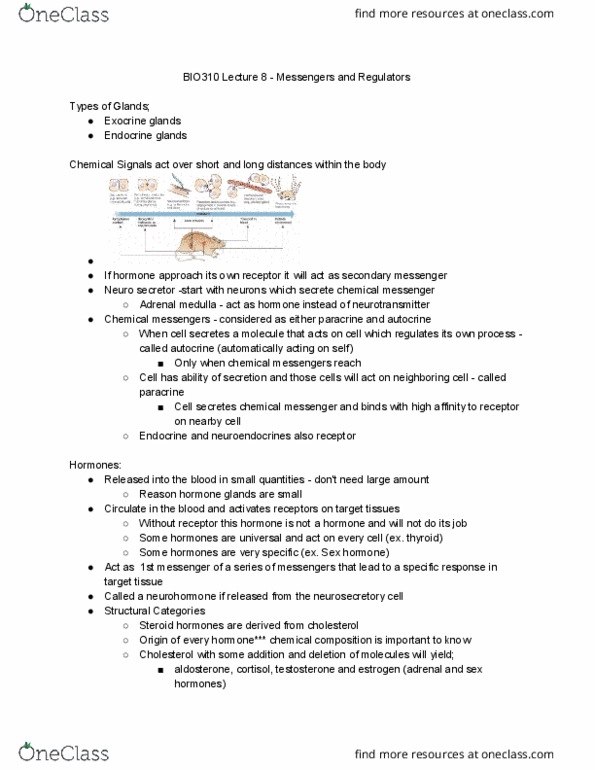 BIO310H5 Lecture Notes - Lecture 9: Adrenal Medulla, Second Messenger System, Sex Steroid thumbnail