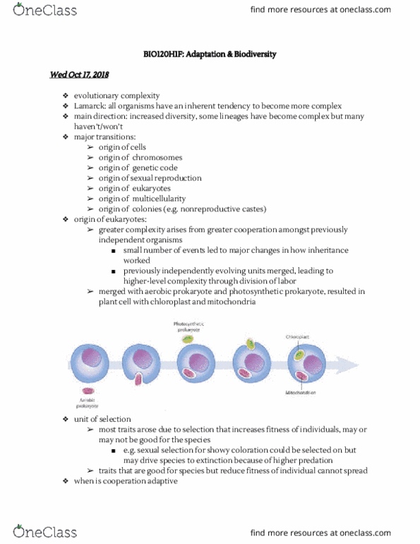 BIO120H1 Lecture Notes - Lecture 11: Plant Cell, Prokaryote, Chloroplast thumbnail
