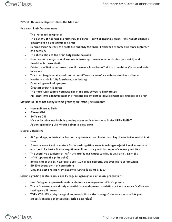 PSY346H5 Lecture Notes - Lecture 3: Prefrontal Cortex, Ephrin, Apoptosis thumbnail