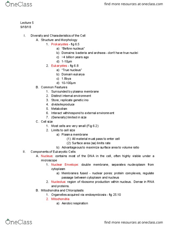 01:119:115 Lecture Notes - Lecture 5: Nuclear Membrane, Nuclear Pore, Cellular Respiration thumbnail