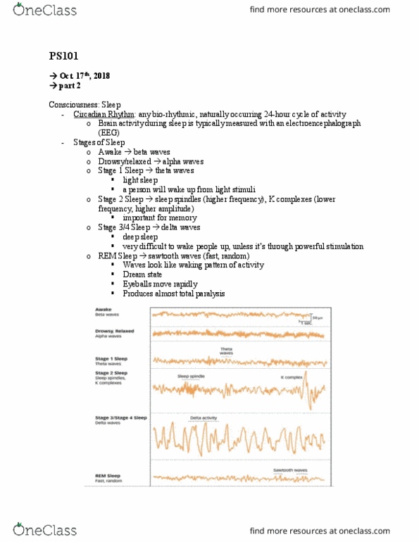 CAS PS 101 Lecture Notes - Lecture 15: Theta Wave, Sleep Spindle, Delta Wave thumbnail