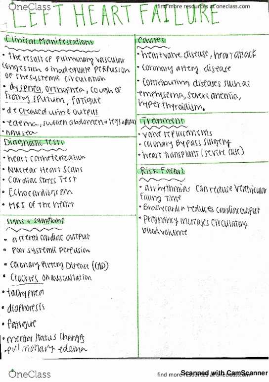 NURS 304 Lecture 1: Left Heart Failure thumbnail