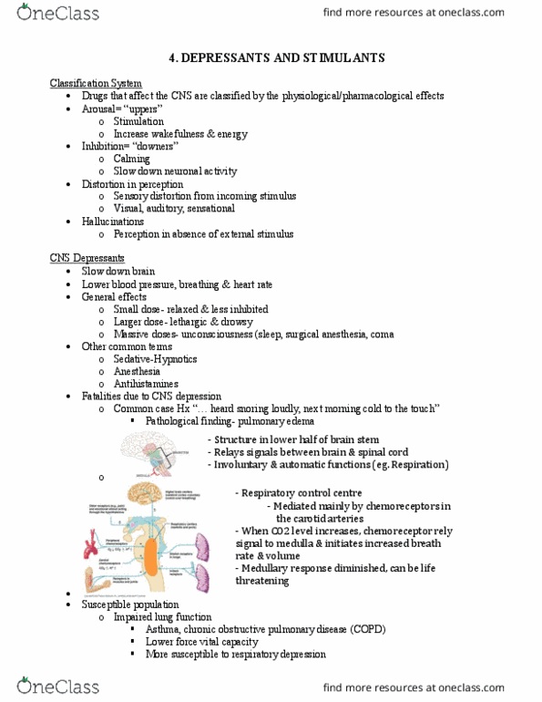 FSC402H5 Lecture Notes - Lecture 4: Chronic Obstructive Pulmonary Disease, Hyperventilation, Central Nervous System Depression thumbnail