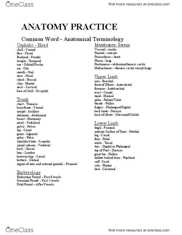 KINESIOL 1A03 Lecture Notes - Lecture 1: Thoracic Cavity, Toe, Perineum thumbnail