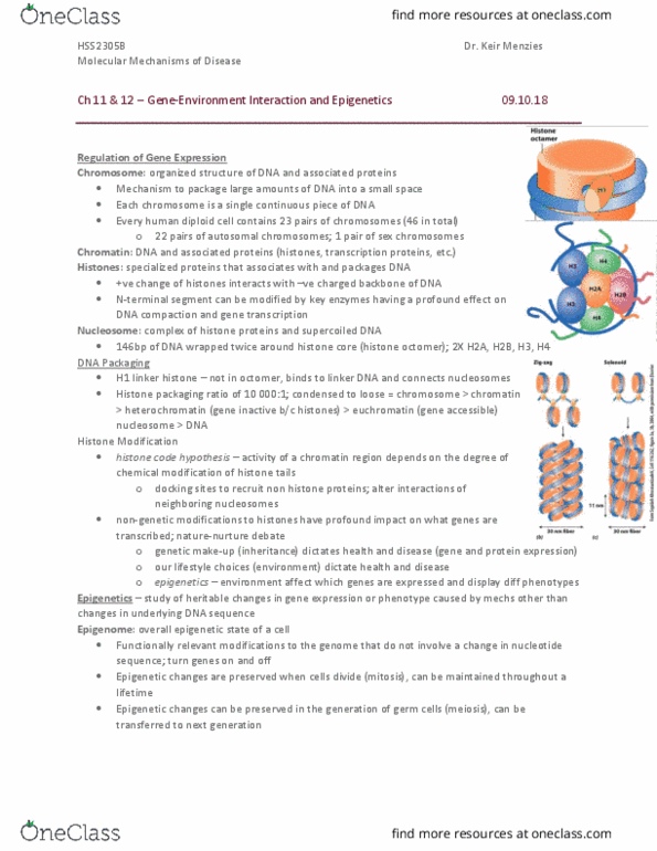HSS 2305 Chapter Notes - Chapter 11-12: Histone Code, Nucleosome, Epigenetics thumbnail