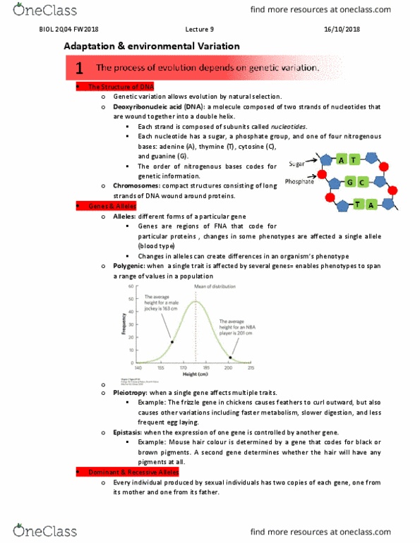 BIOL 2Q04 Lecture Notes - Lecture 9: Pleiotropy, Genetic Variation, Epistasis thumbnail