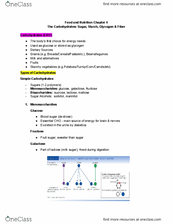 Foods and Nutrition 1021 Lecture Notes - Lecture 4: Mannitol, Sorbitol, Galactose thumbnail