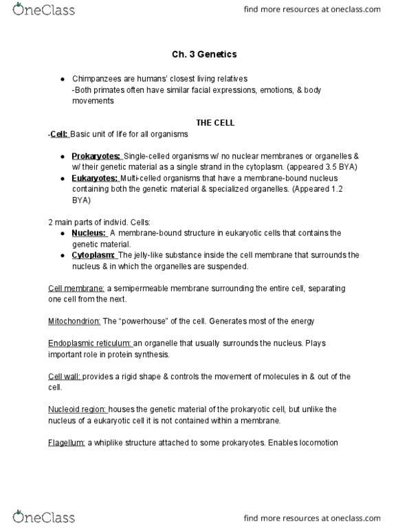 ANT 2511 Chapter Notes - Chapter 3: Endoplasmic Reticulum, Semipermeable Membrane, Flagellum thumbnail