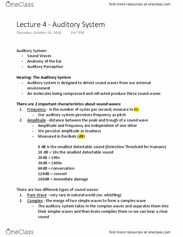 PSYO 1011 Lecture Notes - Lecture 13: Auditory System, Sound, Basilar Membrane cover image