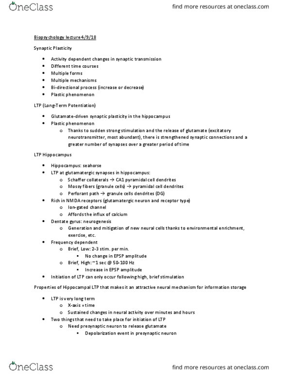 PSY 3061 Lecture Notes - Lecture 17: Dentate Gyrus, Short-Snouted Seahorse, Synaptic Plasticity thumbnail