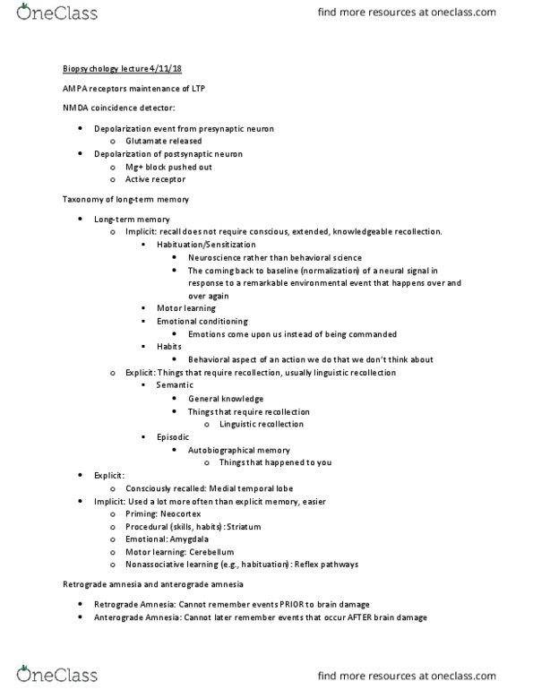 PSY 3061 Lecture Notes - Lecture 18: Anterograde Amnesia, Retrograde Amnesia, Autobiographical Memory thumbnail