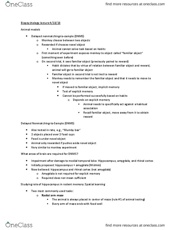 PSY 3061 Lecture Notes - Lecture 19: Radial Arm Maze, Rhinal Cortex, Temporal Lobe thumbnail