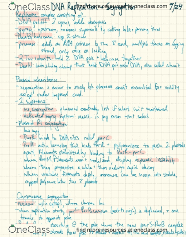 PLANTBI C112 Lecture Notes - Lecture 14: Helicase, Netsuke, Chromosome Segregation thumbnail