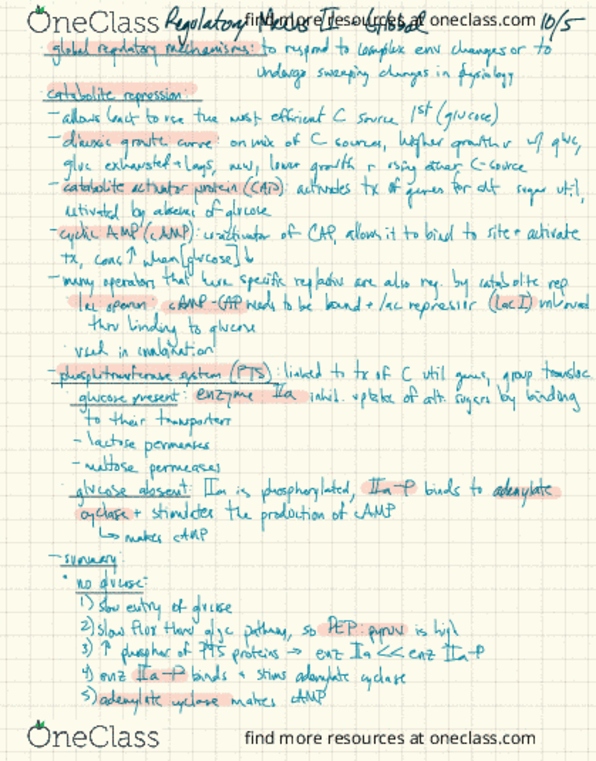 PLANTBI C112 Lecture Notes - Lecture 19: Adenylyl Cyclase, Catabolite Repression, Phosphotransferase thumbnail