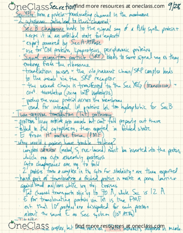 PLANTBI C112 Lecture Notes - Lecture 16: Membrane Protein, Arginine, Lipoprotein thumbnail