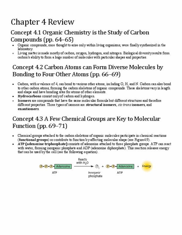 BIO152H5 Chapter 4: Chapter 4 Review thumbnail