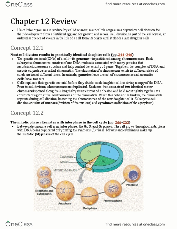 BIO152H5 Chapter Notes - Chapter 12: Sister Chromatids, Cell Cycle, Cell Division thumbnail