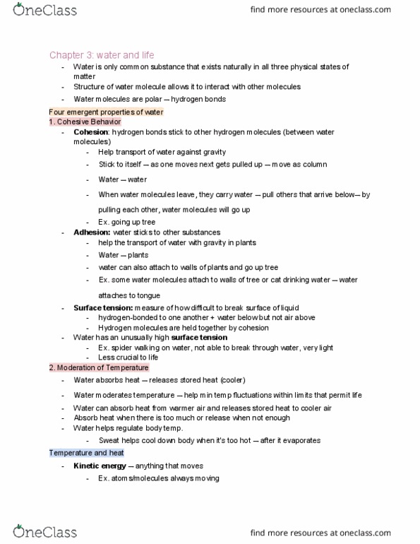 BIOL 1107 Chapter 3: Chapter 3 thumbnail