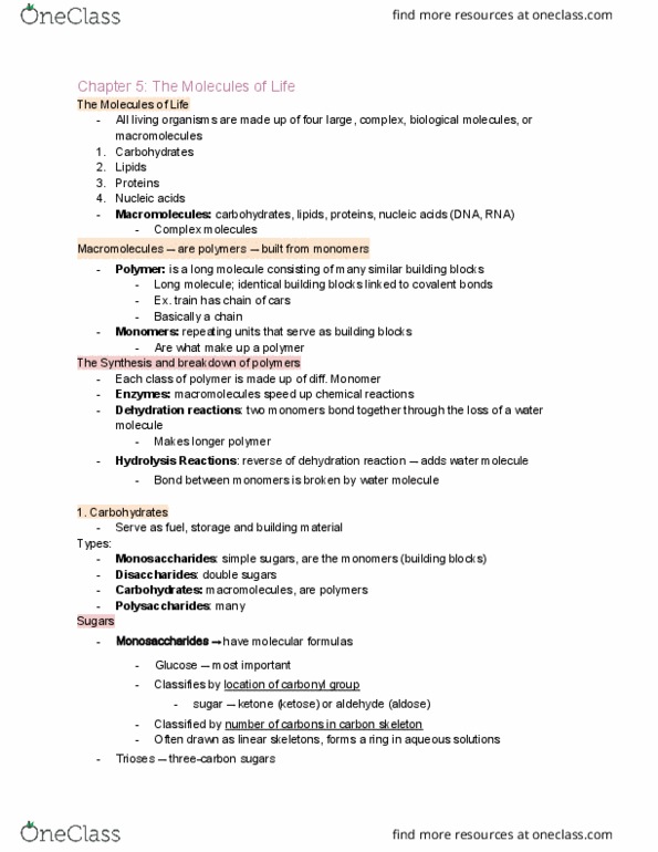 BIOL 1107 Chapter Notes - Chapter 5: Covalent Bond, Monomer, Ketose thumbnail