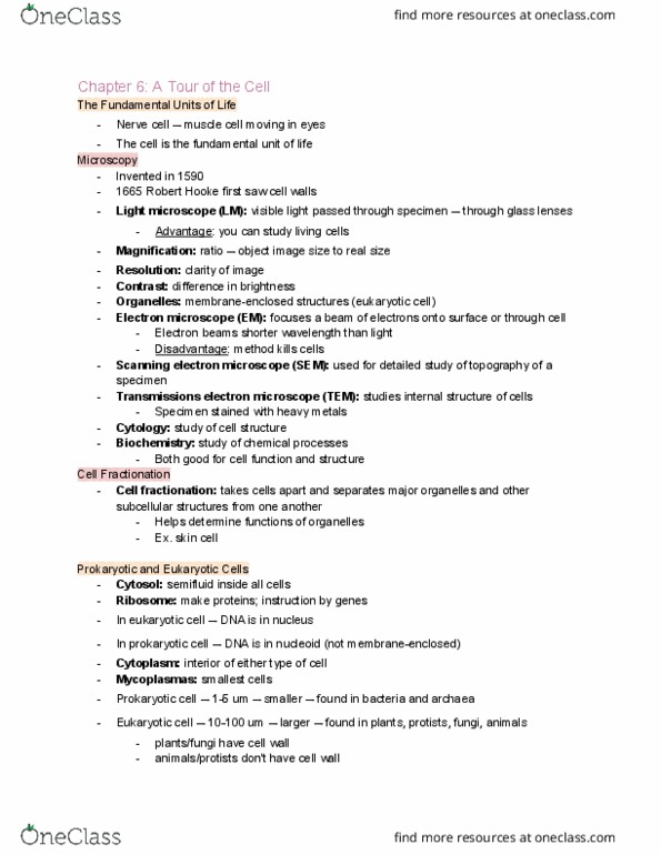 BIOL 1107 Chapter Notes - Chapter 6: Scanning Electron Microscope, Electron Microscope, Cell Fractionation thumbnail