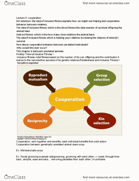 PSYC 3280 Lecture Notes - Lecture 6: Social Grooming, Inclusive Fitness, Kin Selection thumbnail