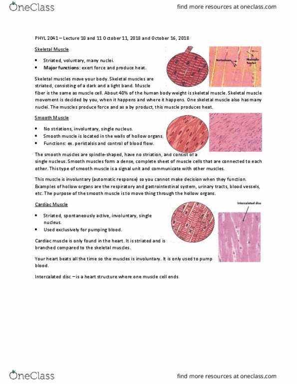 PHYL 2041 Lecture Notes - Lecture 10: Intercalated Disc, Skeletal Muscle, Cardiac Muscle thumbnail