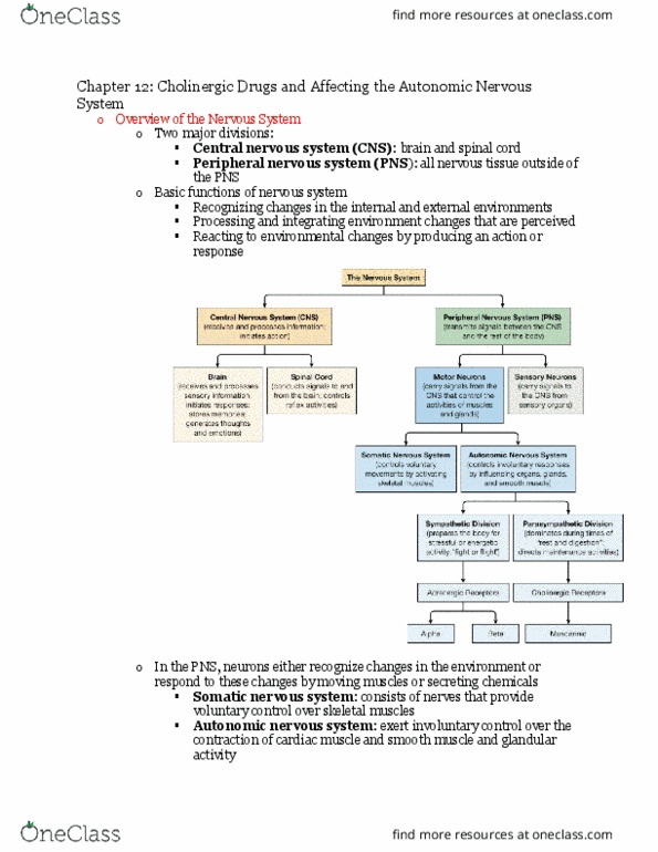 NUR240 Chapter Notes - Chapter 12: Muscarinic Acetylcholine Receptor, Central Nervous System, Cholinergic thumbnail