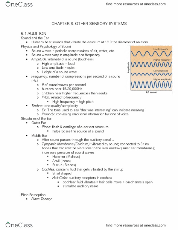 PS263 Chapter Notes - Chapter 6: Oval Window, Sound, Stirrup thumbnail