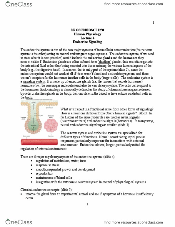 BIOSC 1250 Lecture Notes - Lecture 4: Endocrine System, Autonomic Nervous System, Extracellular Fluid thumbnail
