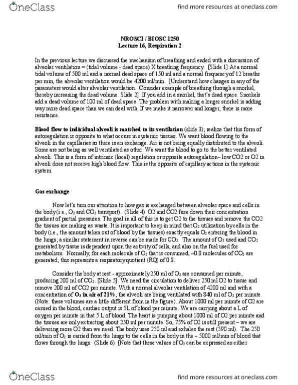 BIOSC 1250 Lecture Notes - Lecture 16: Respiratory Quotient, Gas Exchange, Horse Length thumbnail