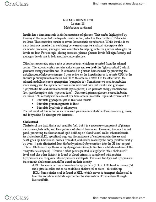 BIOSC 1250 Lecture Notes - Lecture 23: Adrenal Medulla, Bile Acid, Blood Sugar thumbnail