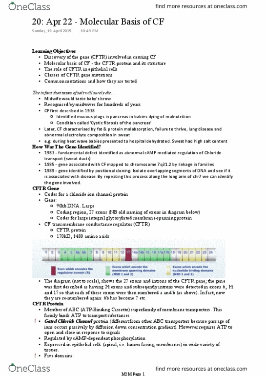 BIOM30002 Lecture Notes - Lecture 20: Genetic Screen, Malabsorption, Intron thumbnail